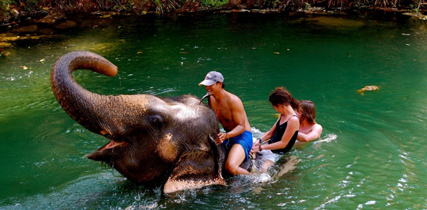 Koh Samui Gezilecek Yerler 4 Koh Samui Filler ile Safari
